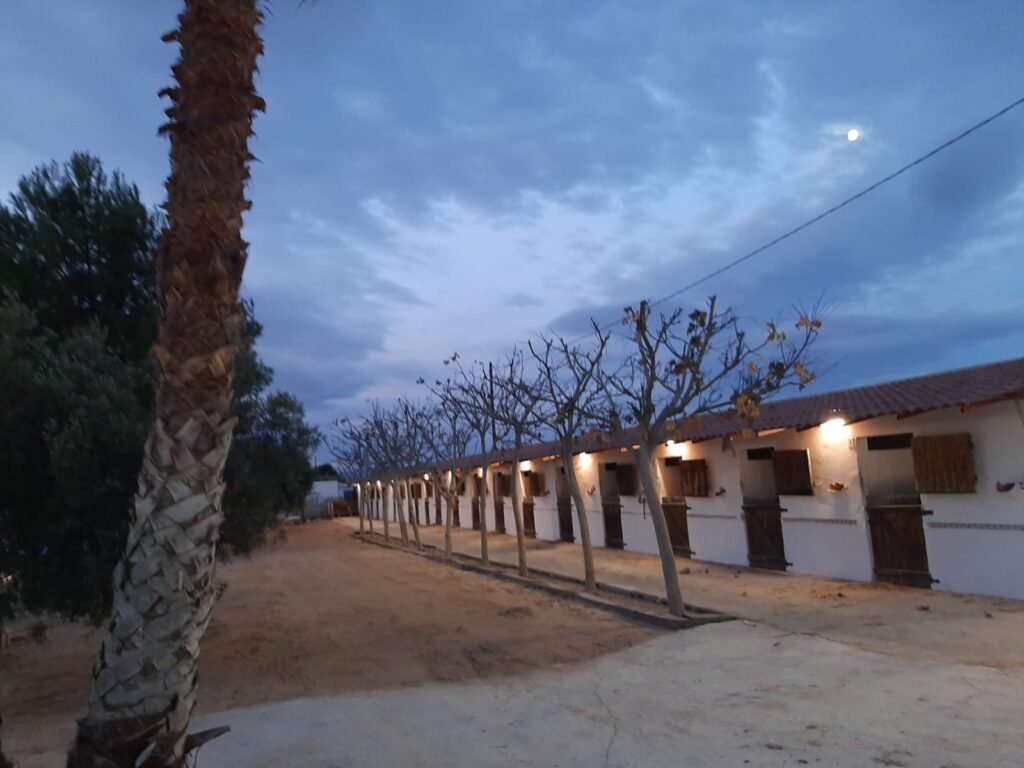 La cuadra de Top Horses en Agost
